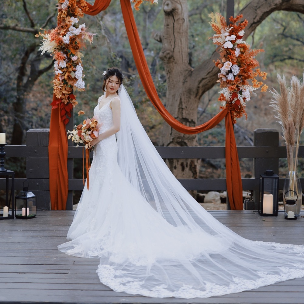 Mermaid Tulle Lace Wedding Dress